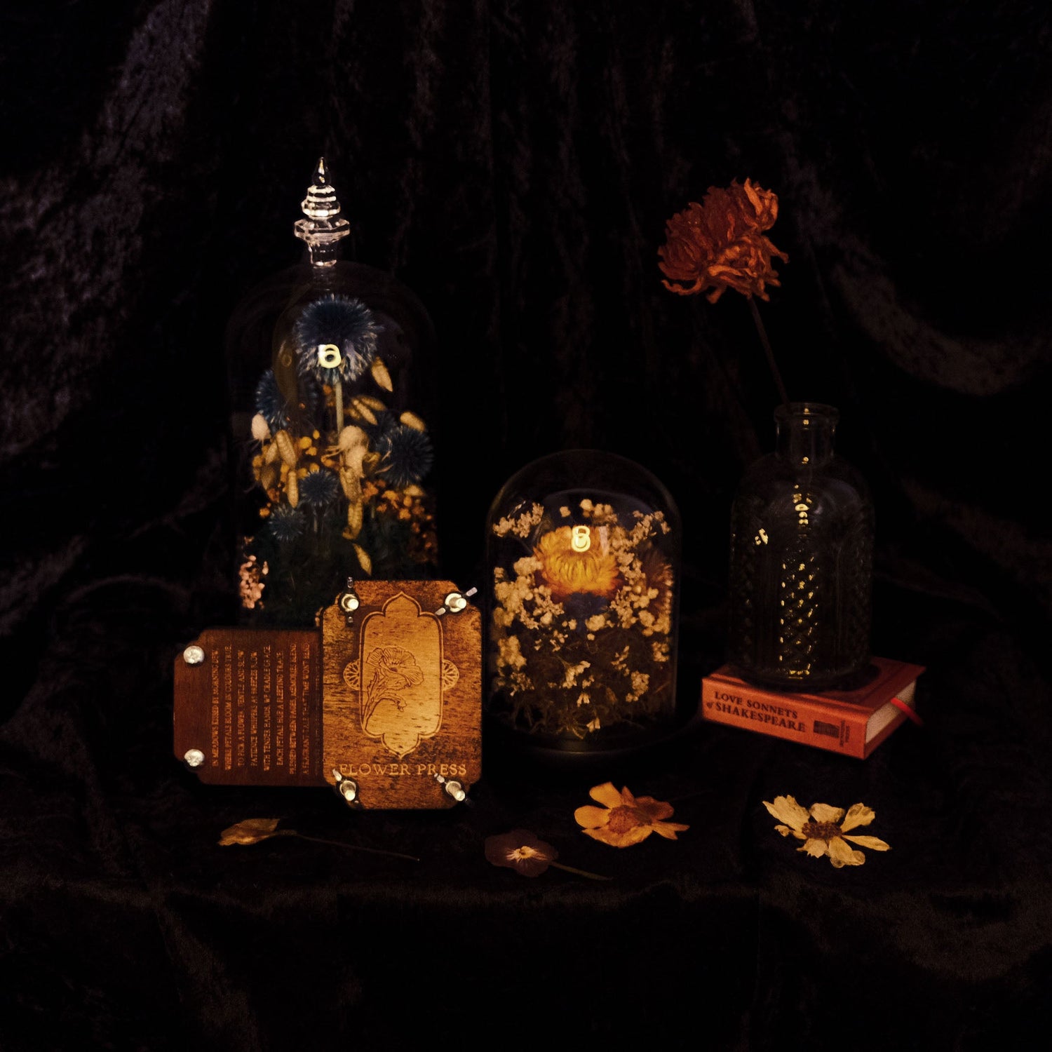 Moody gothic victorian looking accessories. Glass cloches and flower press and dried florals displayed against black velvet.