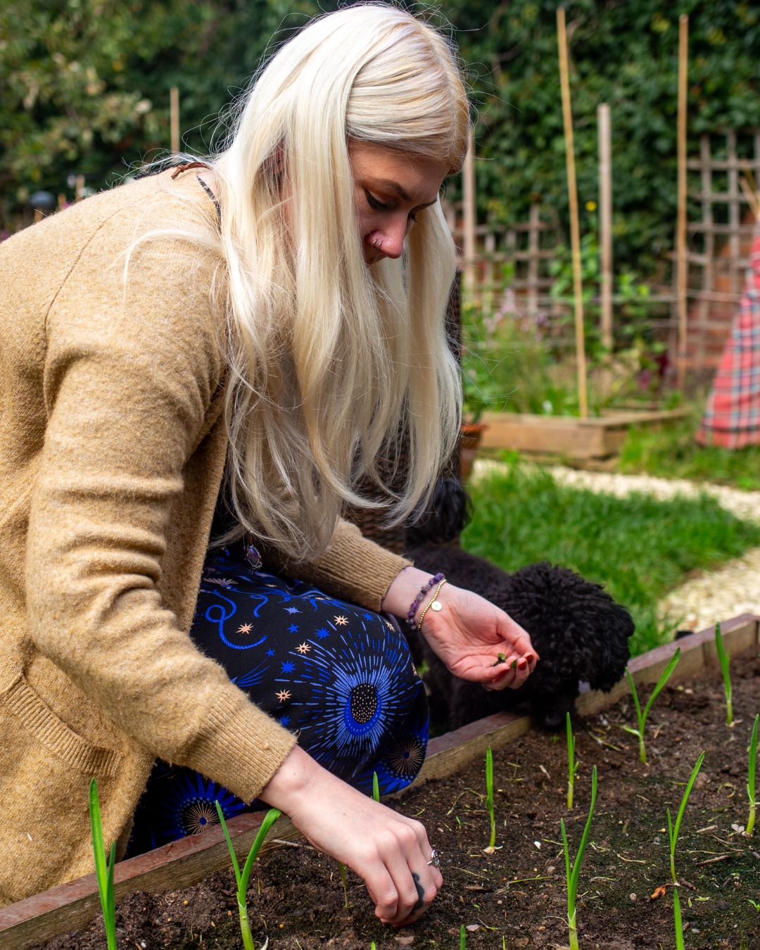 Woman planting seeds in a garden bed with a black poodle dog beside her