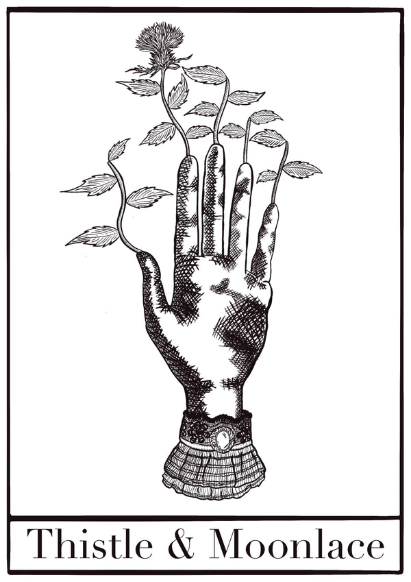 Thistle & Moonlace