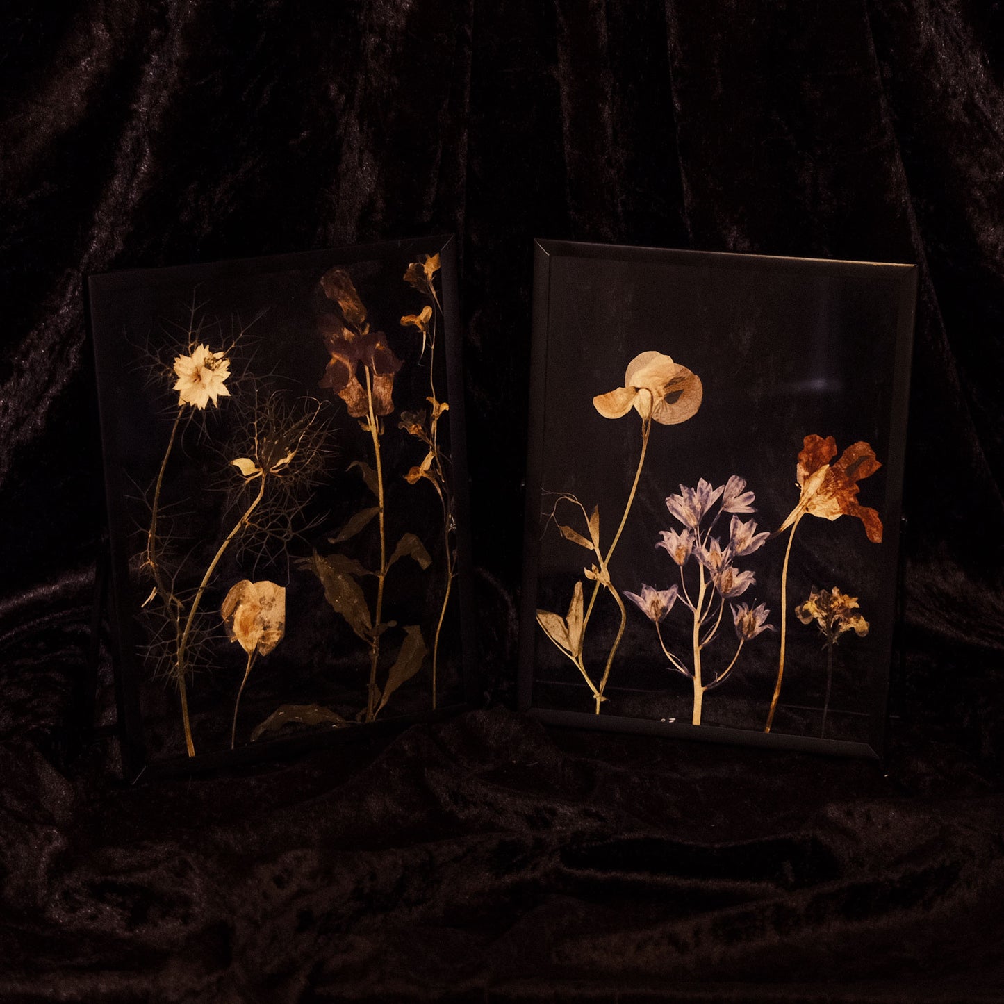 Botanical Pressed Flower Frame # 1